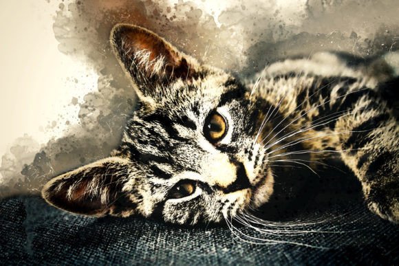 Printable Animal Graphics 08: A Versatile Tool for Creative Expression